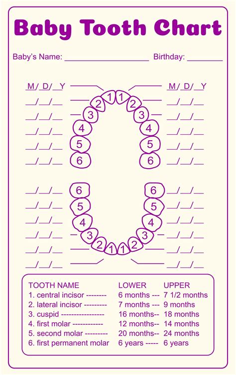 dental tooth chart printable|free printable dental chart template.